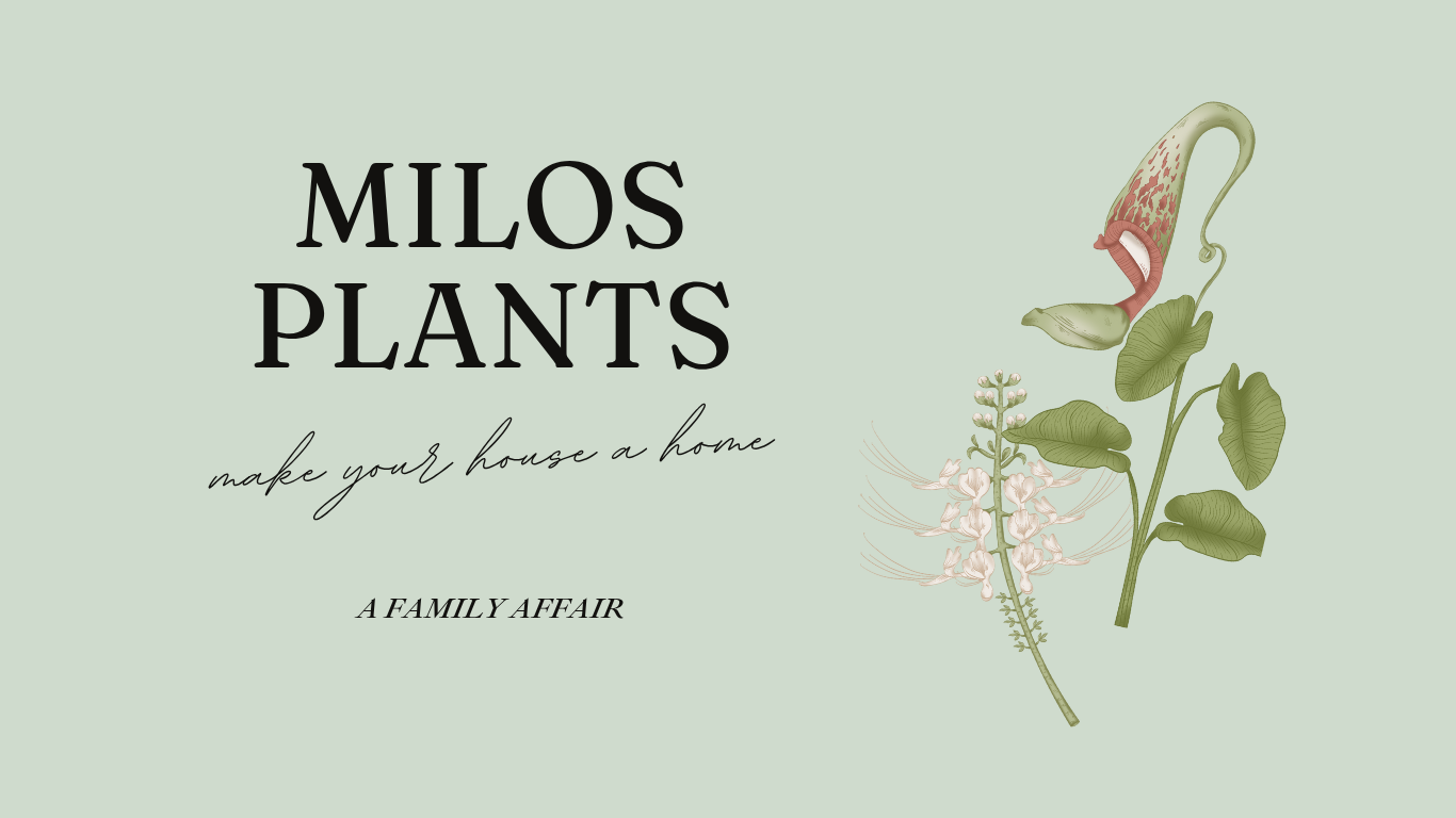 Milo's Plants